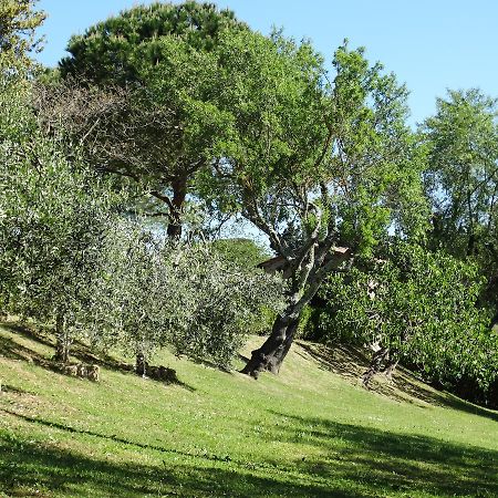 Santa Maria Della Pace Bed and Breakfast Montespertoli Buitenkant foto