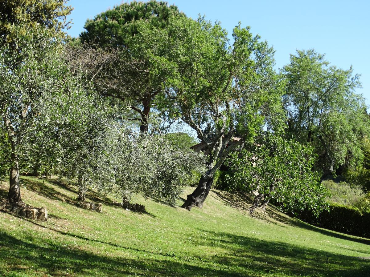Santa Maria Della Pace Bed and Breakfast Montespertoli Buitenkant foto